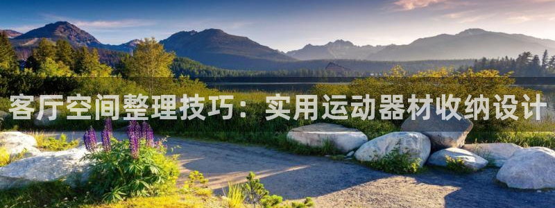 海南678体育官网下载发展怎么样：客厅空间整理技巧：实用运动