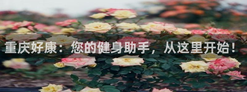 海南678体育官网下载发展怎么样