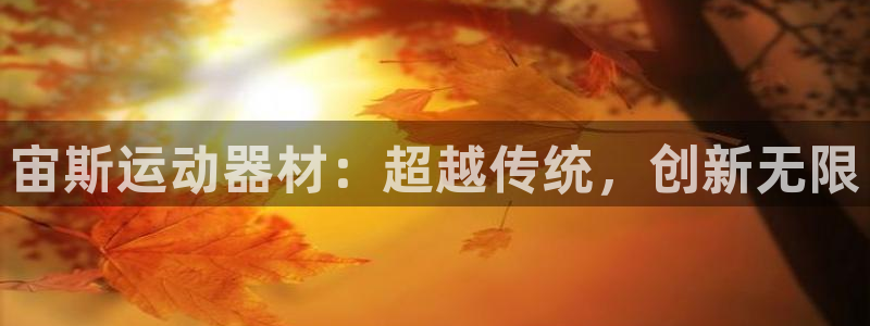 678体育官方正版app集团官网首页网址：宙斯运动器材：超越
