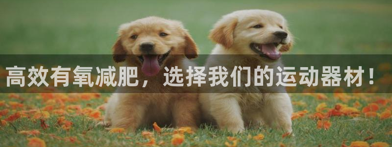 678体育官网下载招商电话是多少号码：高效有氧减肥，选择我们