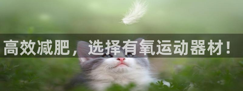678体育官网下载平台：高效减肥，选择有氧运动器材！