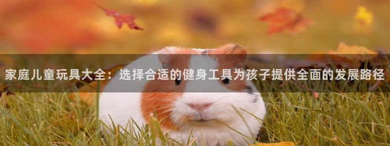 678体育官网下载招商电话号码：家庭儿童玩具大全：选择合适的