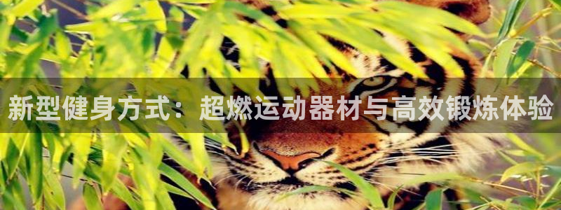 678体育官网下载招商电话号码查询是多少：新型健身方式：超燃