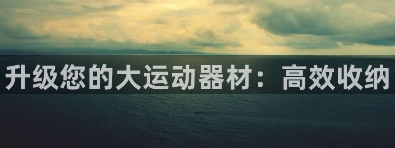 678体育官网下载平台注册流程视频：升级您的大运动器