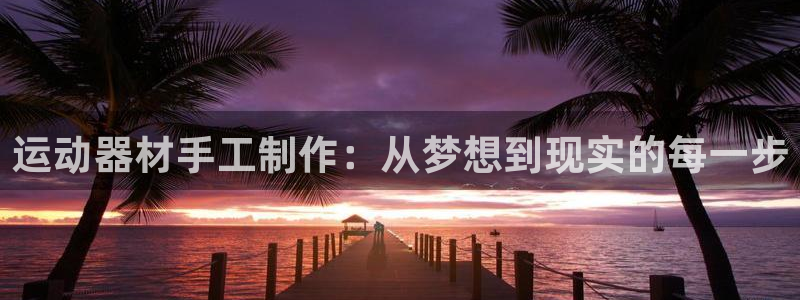 678体育官网下载注册：运动器材手工制作：从梦想到现