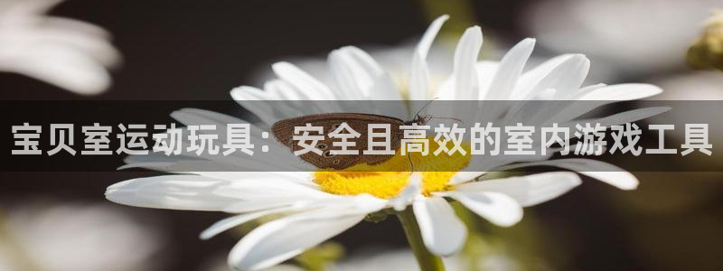 678体育官方正版app神州：宝贝室运动玩具：安全且高效的室