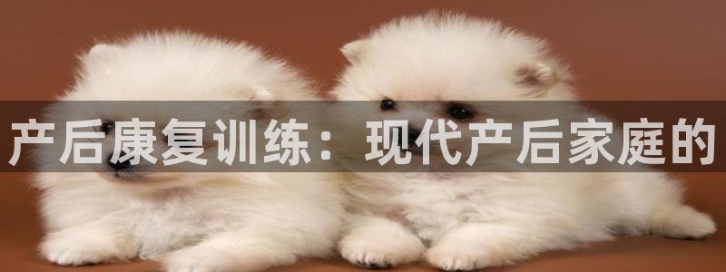 678体育官方正版app官方