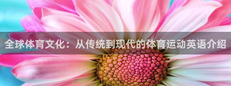 熊猫体育怎么样