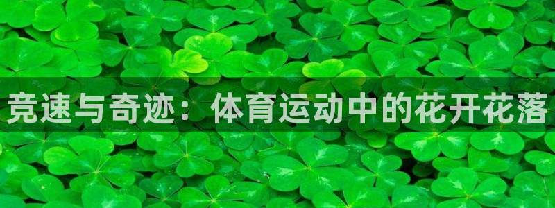 熊猫体育在线