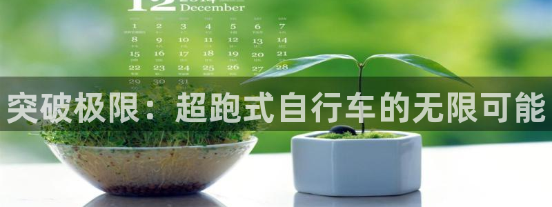 熊猫体育在线观看