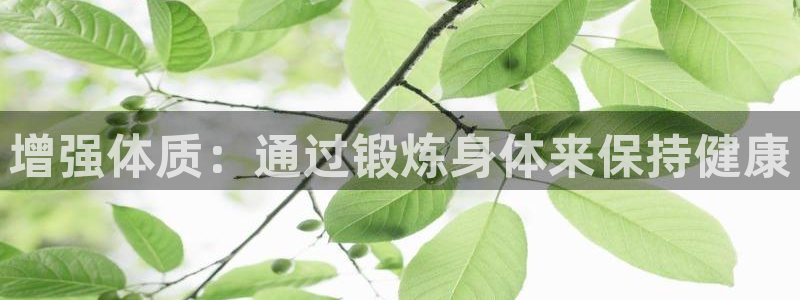 熊猫体育手机版：增强体质：通过锻炼身体来保持健康