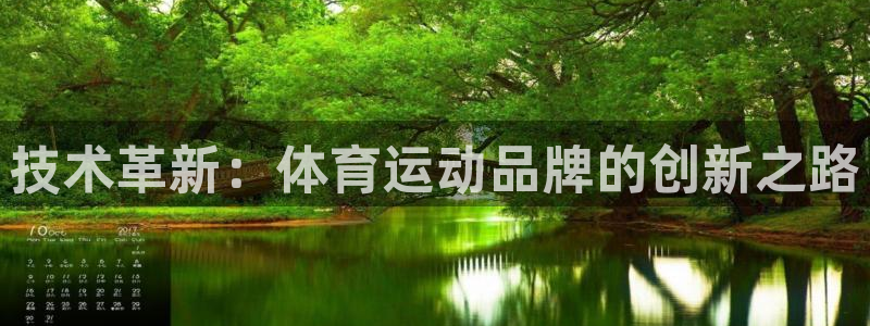 成都金熊猫体育：技术革新：体育运动品牌的创新之路
