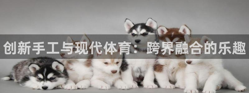 中山熊猫体育：创新手工与现代体育：跨界融合的乐趣