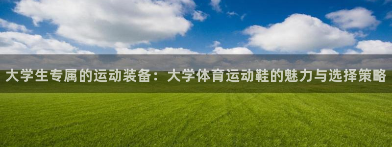 熊猫体育文化有限公司：大学生专属的运动装备：大学体育运动鞋的魅力与选择策略