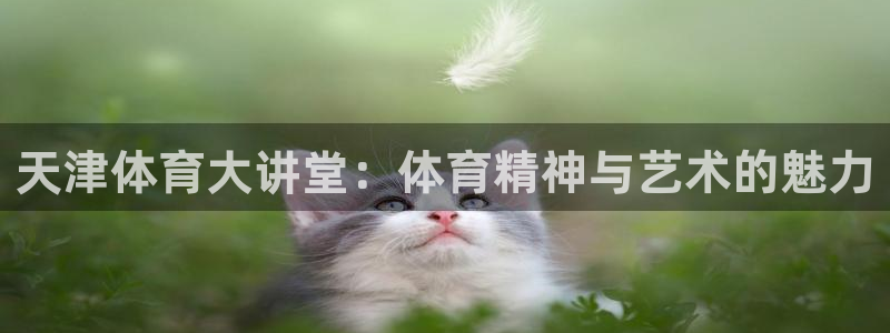 熊猫体育网址