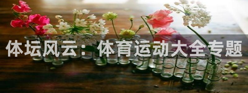 熊猫体育平台