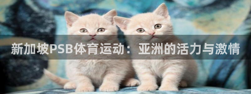 熊猫体育手机版：新加坡PSB体育运动：亚洲的活力与激情