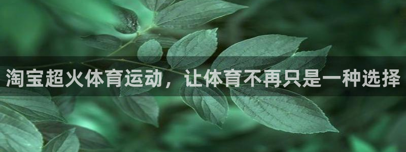 熊猫体育app下载安装