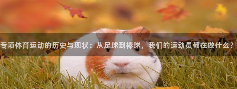 熊猫体育网站：专项体育运动的历史与现状：从足球到棒球，我们的运动员都在做什么？