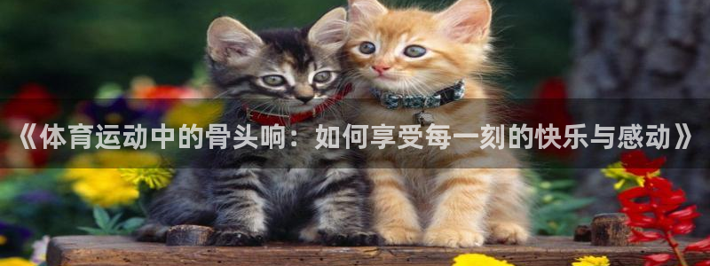熊猫体育公园价格：《体育运动中的骨头响：如何享受每一刻的快乐与感动》