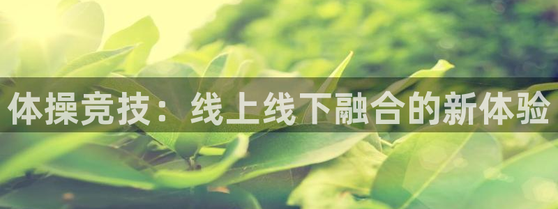熊猫体育在线：体操竞技：线上线下融合的新体验
