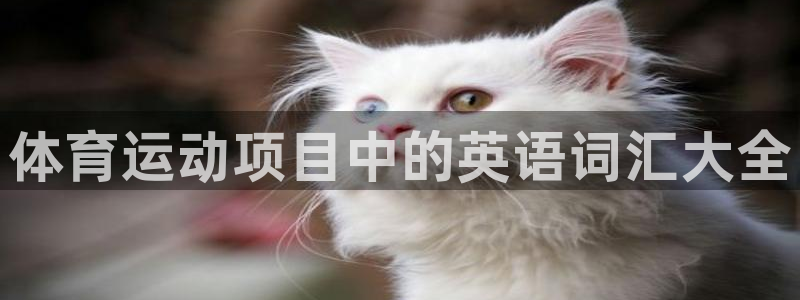 成都熊猫体育公园：体育运动项目中的英语词汇大全